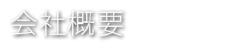 有限会社ビルトネットの会社概要